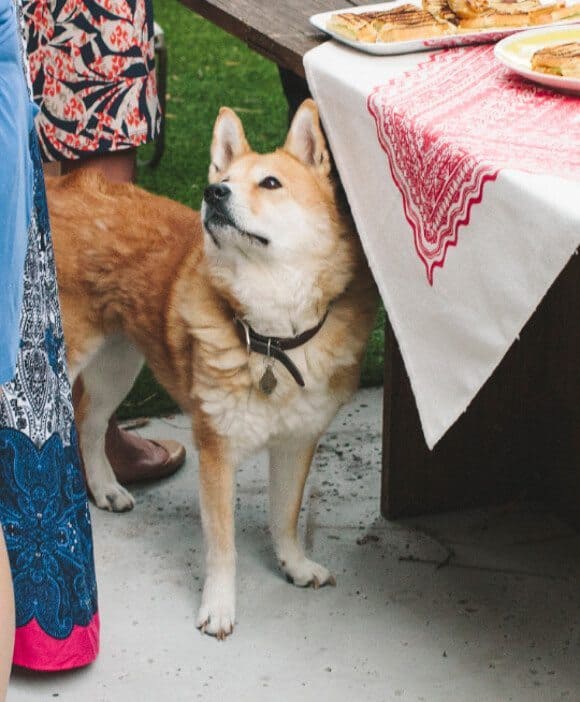 A Spicy Margarita Party spicy margarita party // loveandlemons.com