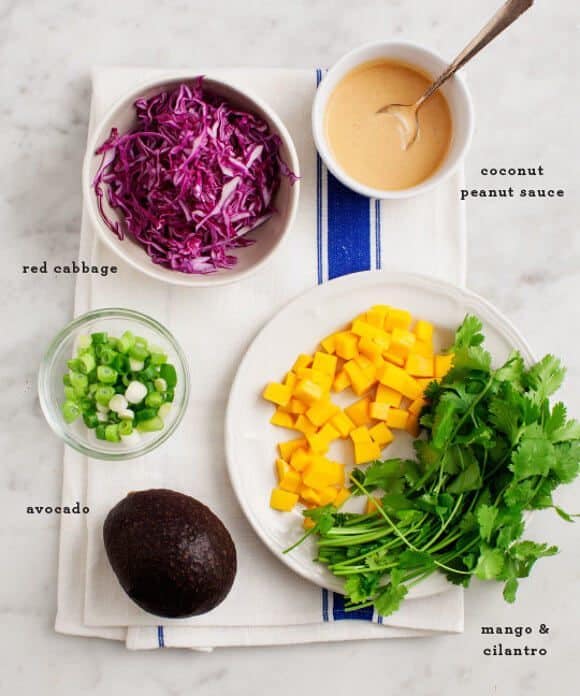 Mango Peanut Tempeh Tacos Mango Peanut Tempeh Tacos / loveandlemons.com