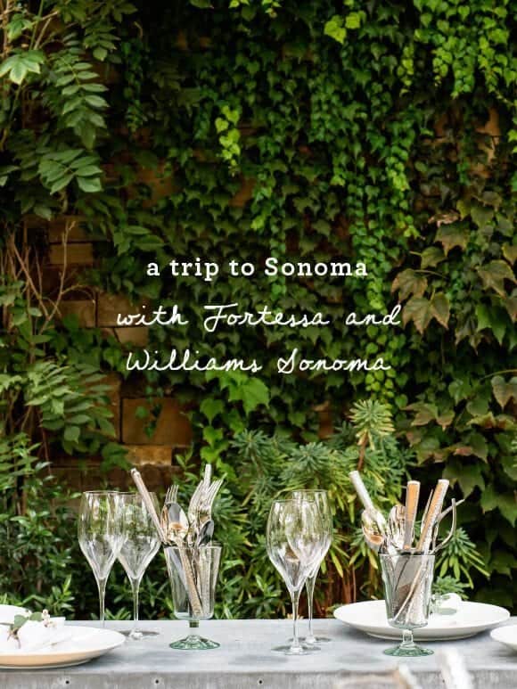 Ultimate Williams Sonoma Store Tour: Kitchen & Home Paradise! 