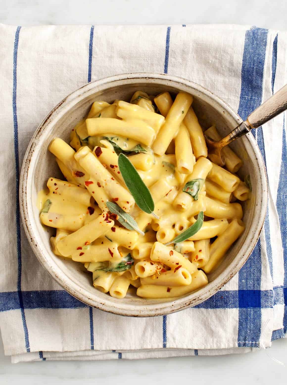 Creamy Pumpkin Penne Pasta