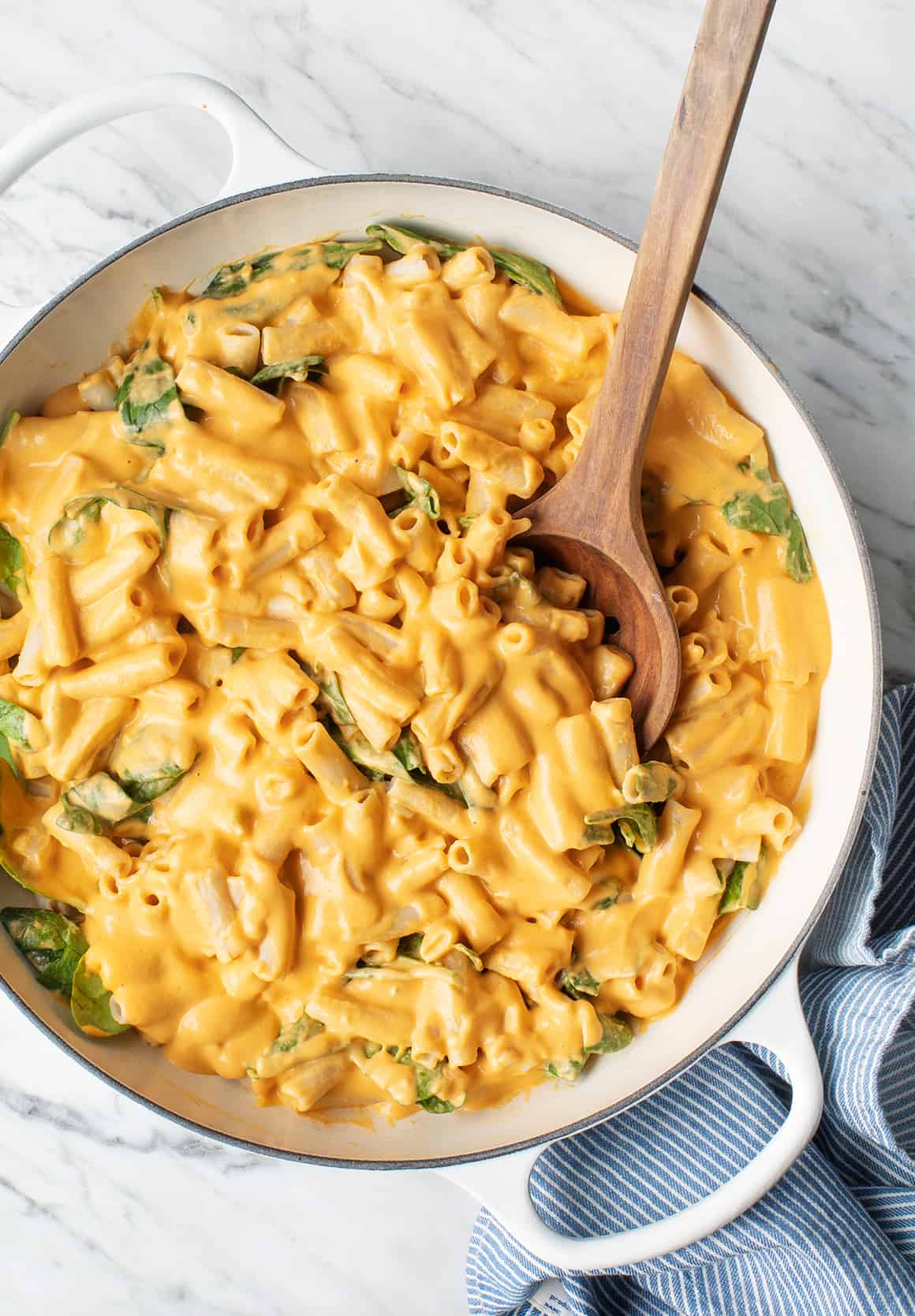 Gift our Cookbooks for a FREE Recipe E-book Butternut Vegan Mac & Cheese