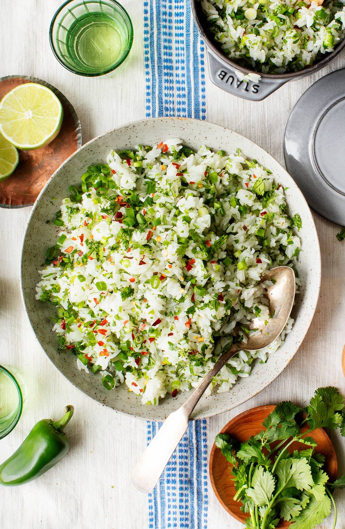 Cilantro Lime Pesto Rice at webcohenblog Blog