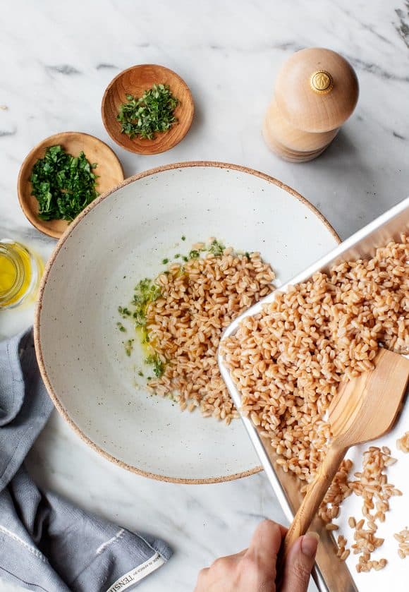 How to Cook Farro Recipes by Love and Lemons