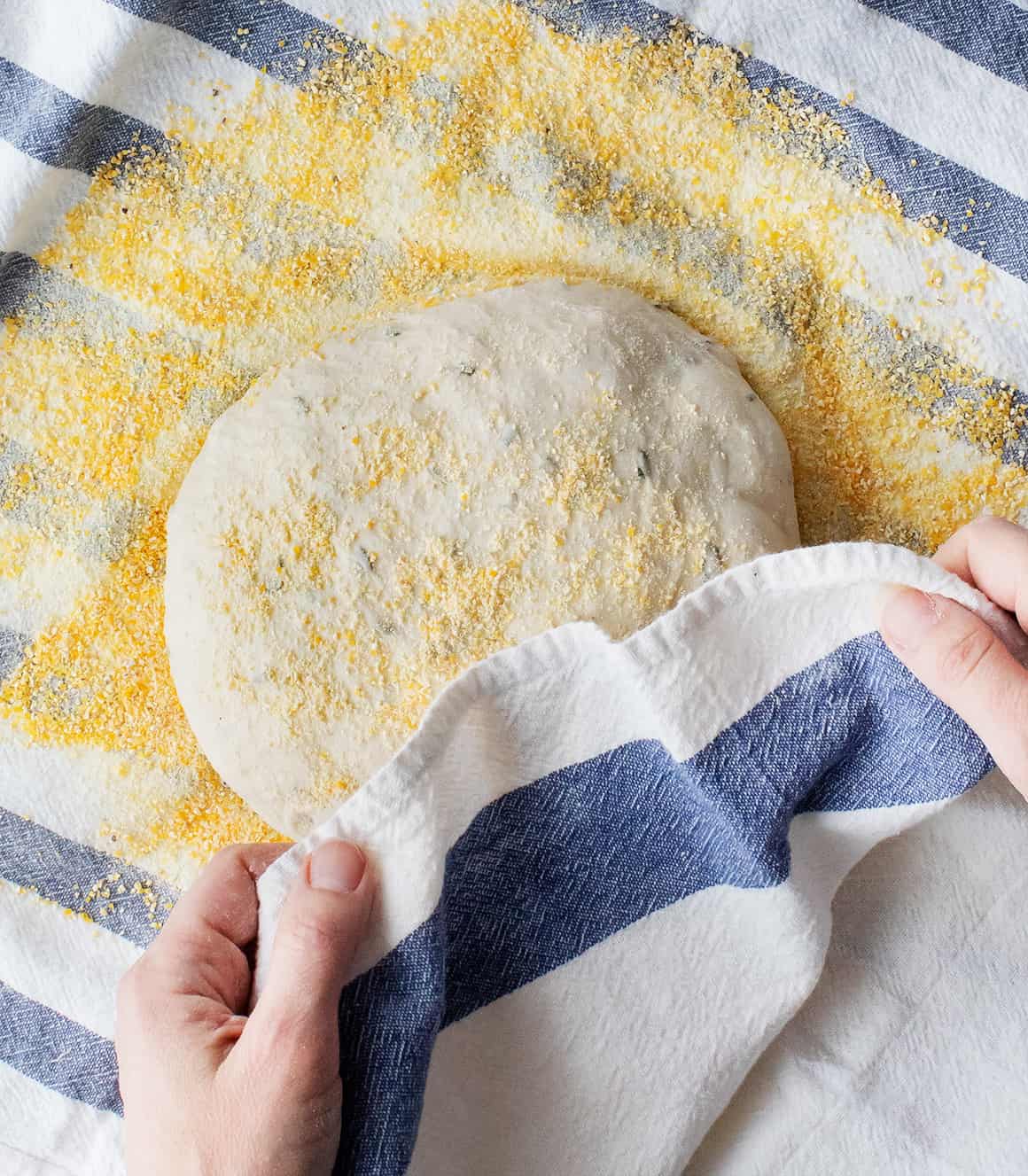 No-Knead Bread No knead bread dough with cornmeal