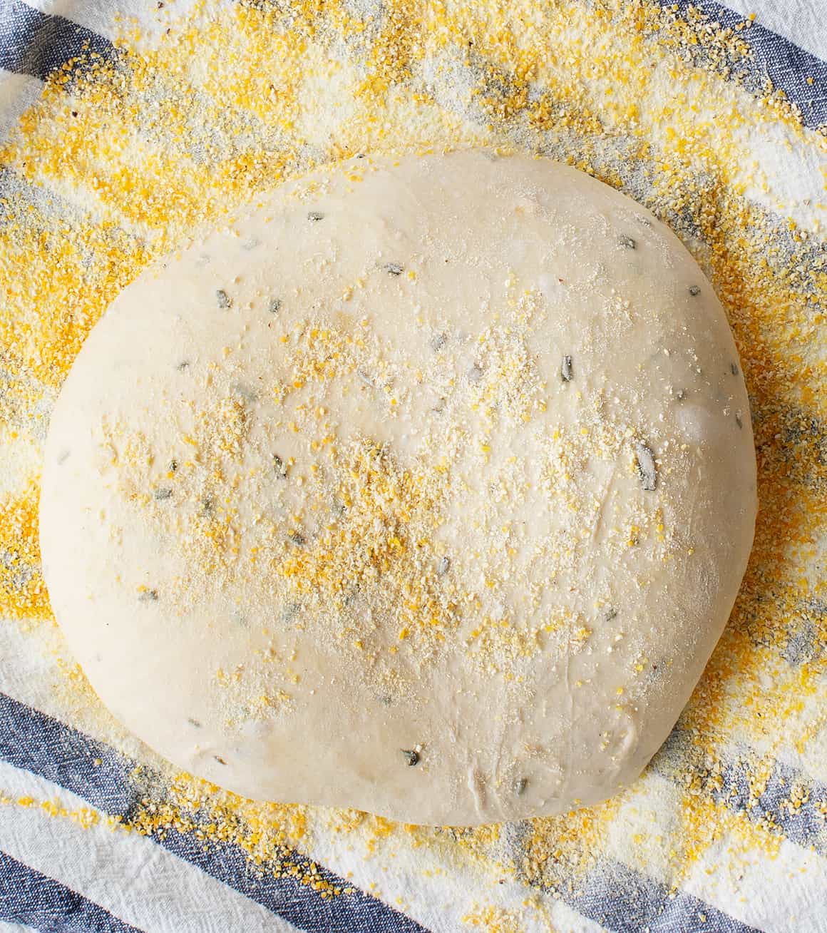 No-Knead Bread Ball of bread dough