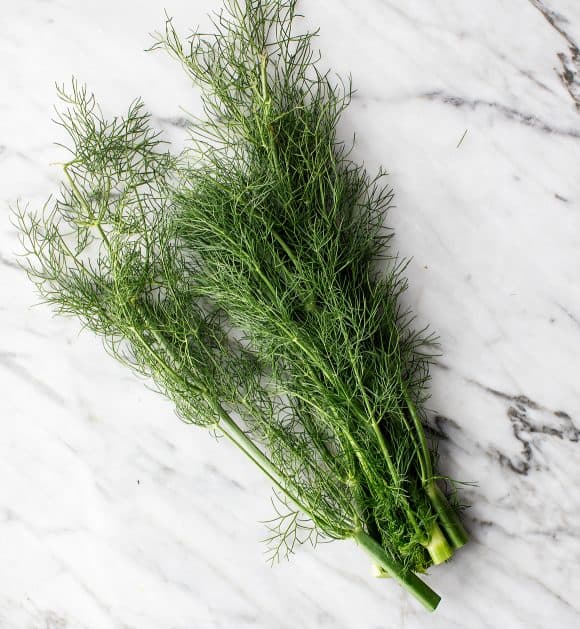 What is Fennel? (And How to Cook It) Recipes by Love and Lemons