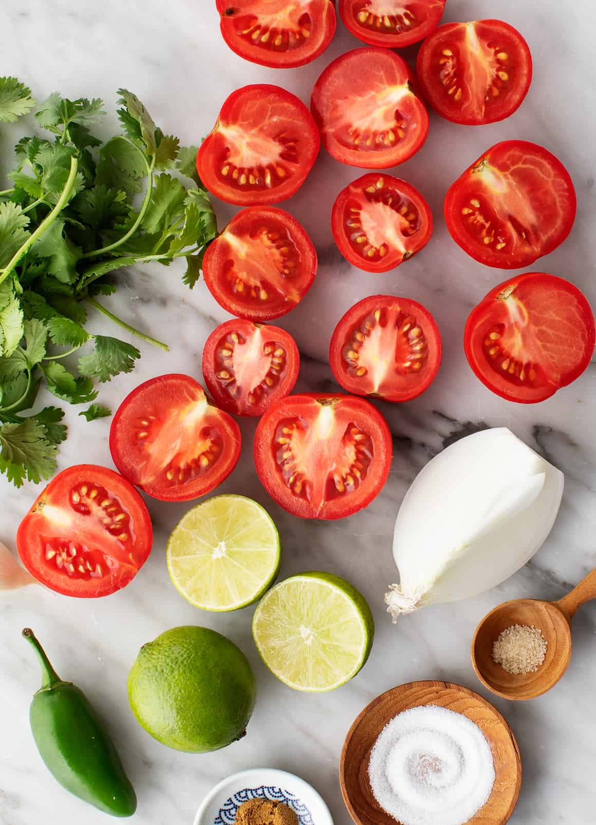 Best tomatoes for deals salsa