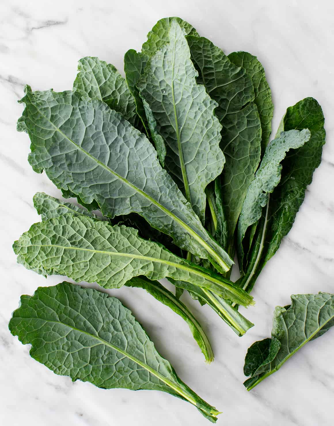 Lacinato kale