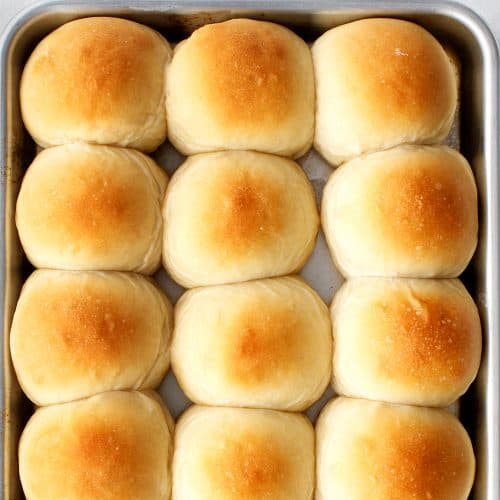 Homemade Dinner Rolls