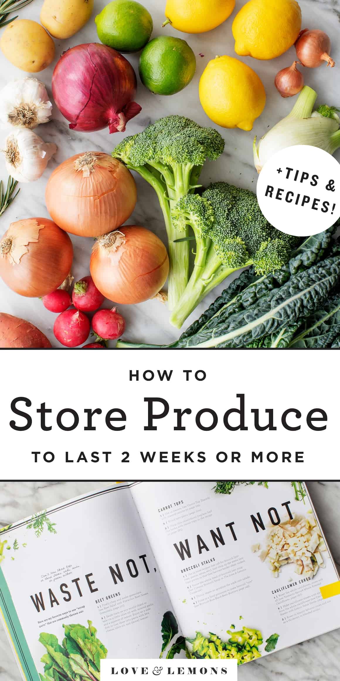 How to Store Produce