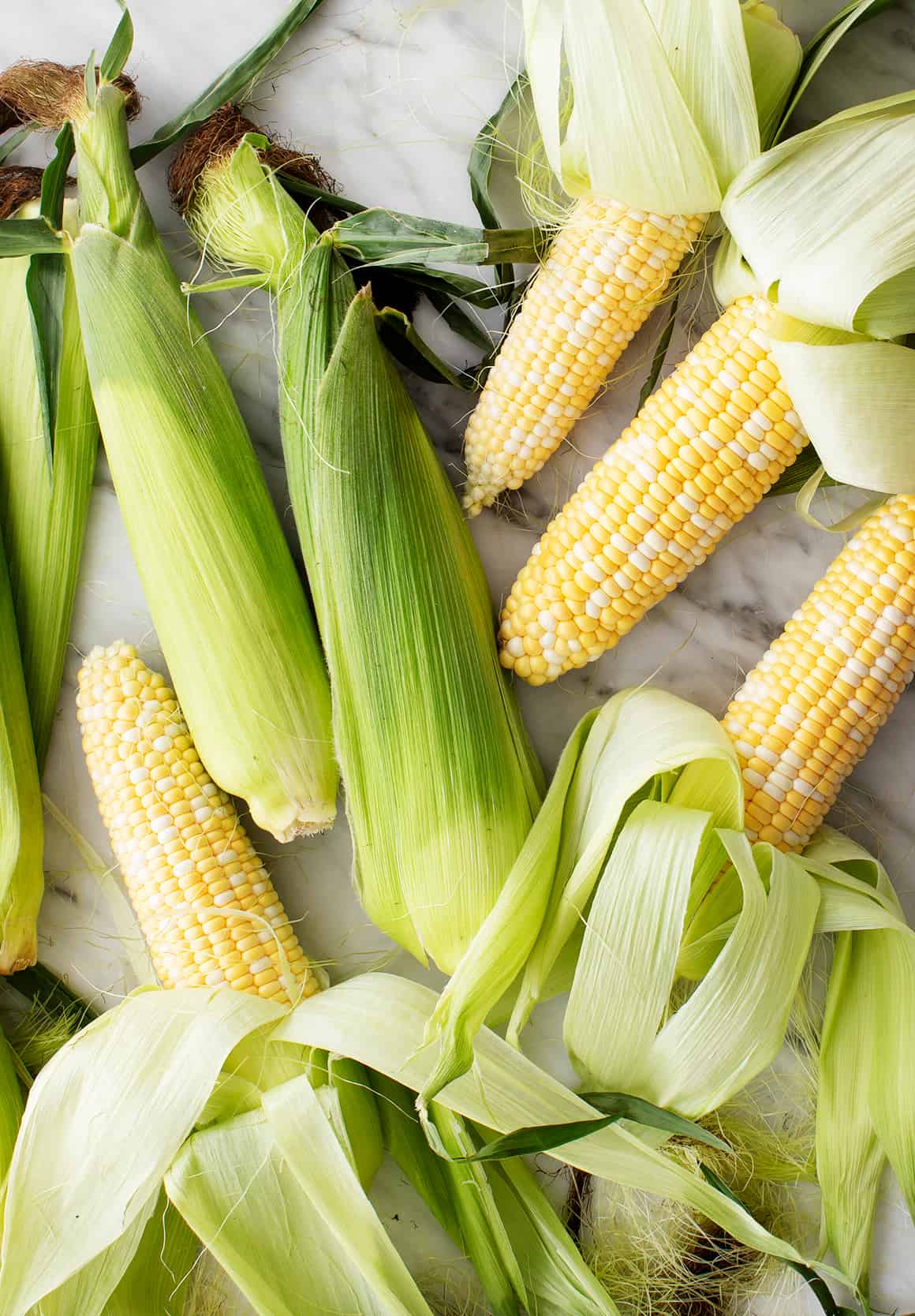 How to Boil Corn on the Cob Recipe – VeganFanatic.com