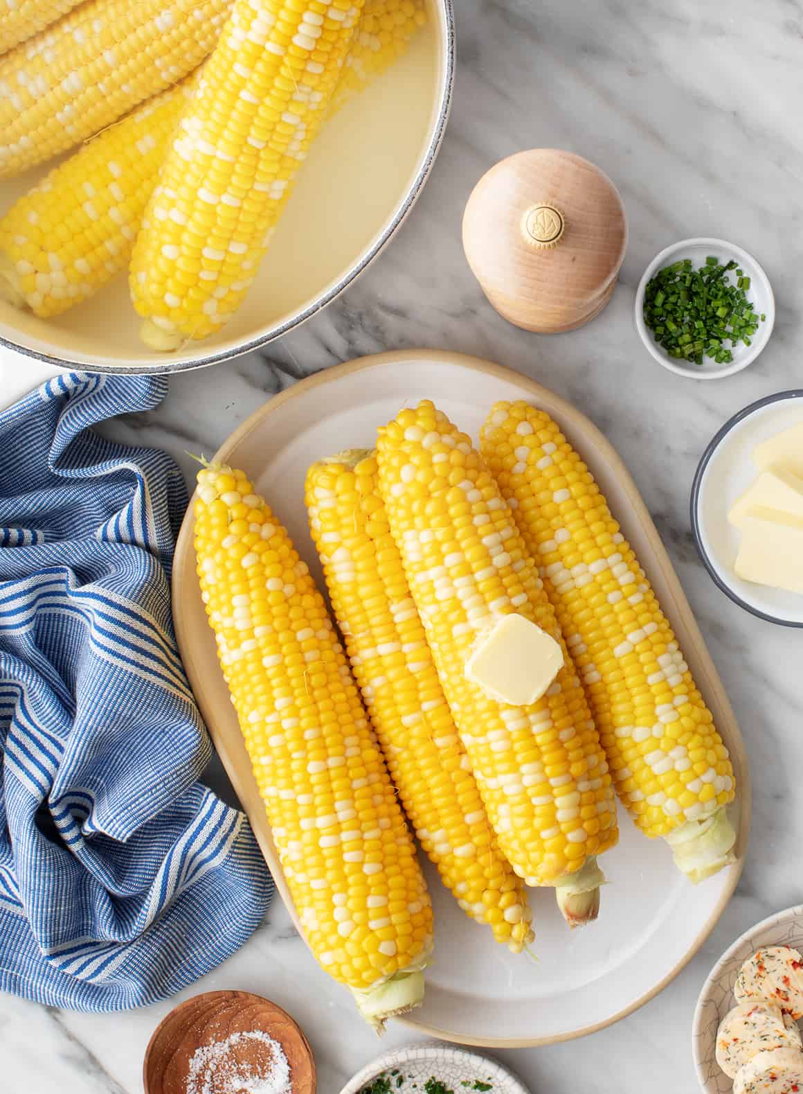 Sea Salt & Vinegar Corn on the Cob Seasoning