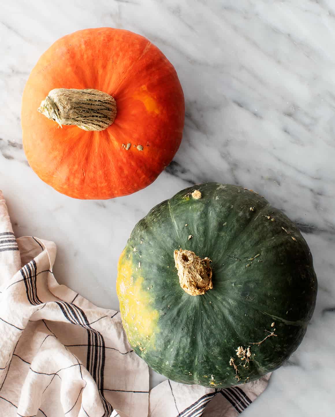 15 Kabocha Japanese Pumpkin Seeds – Winter Squash, 2024 Harvest – Free Shipping