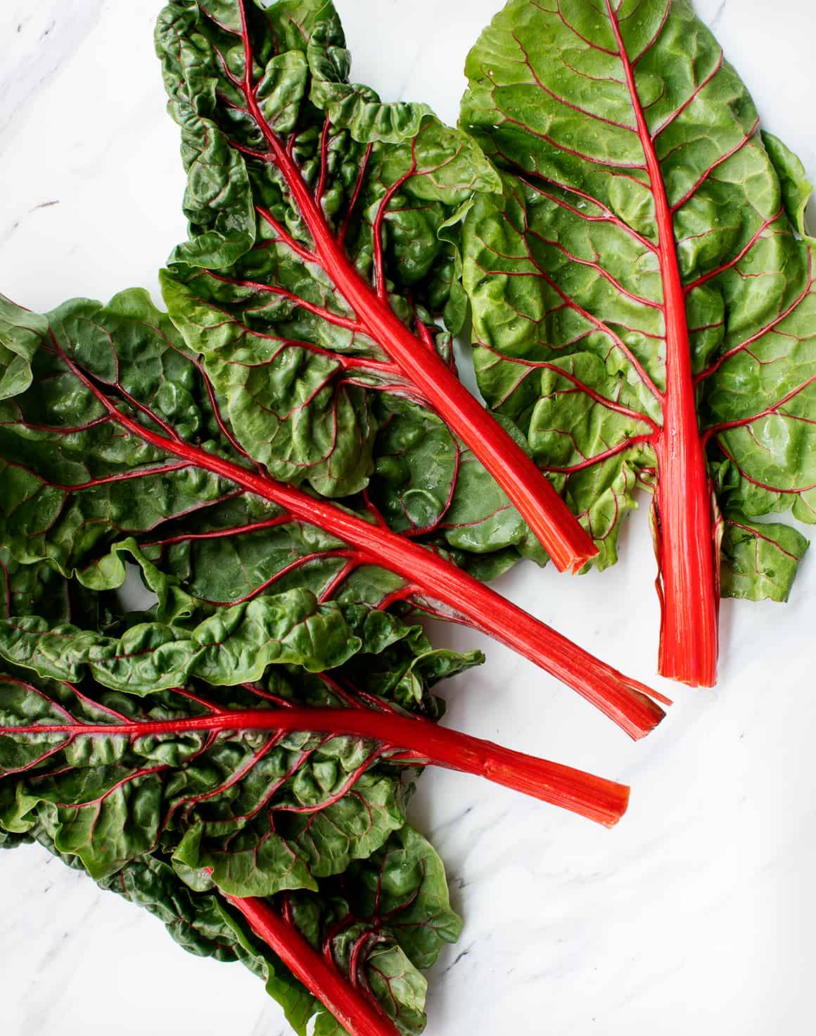 Swiss Chard Leaves