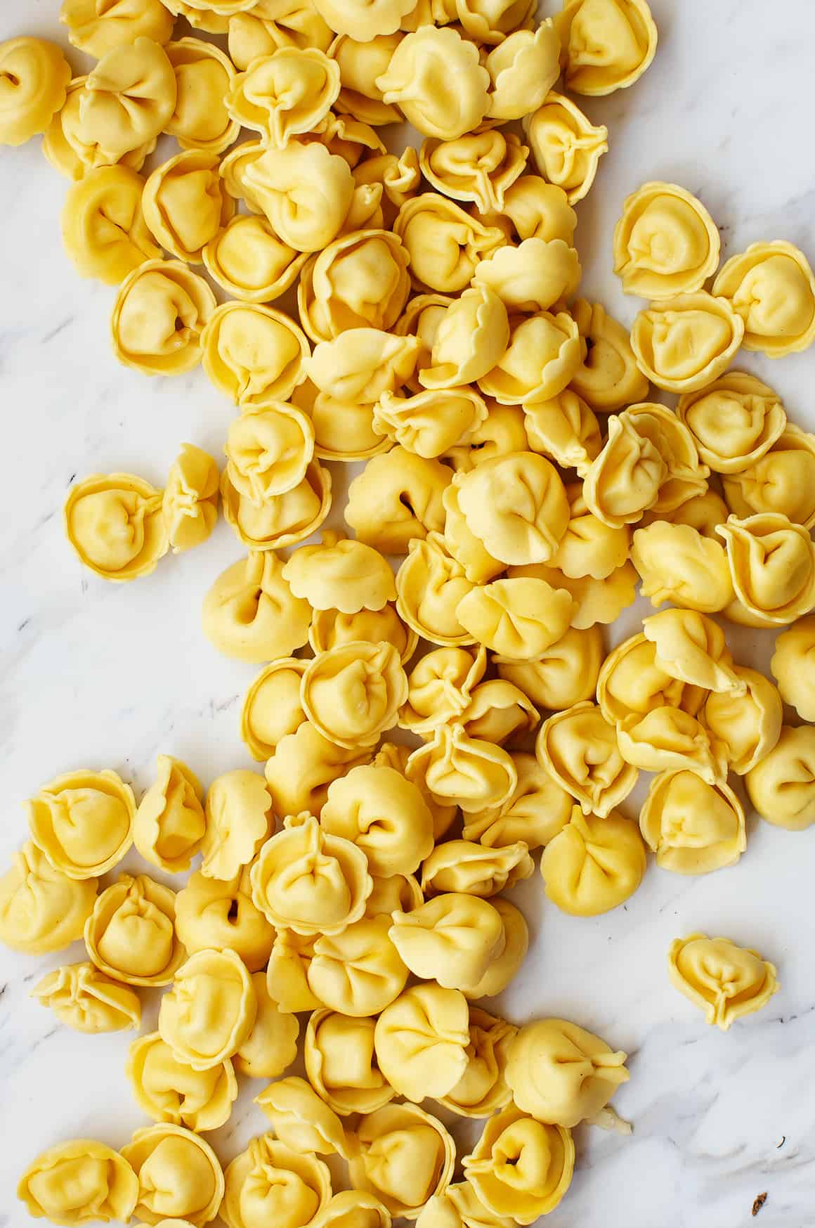 This Handmade Tortellini Recipe Is A Classic You Will Love