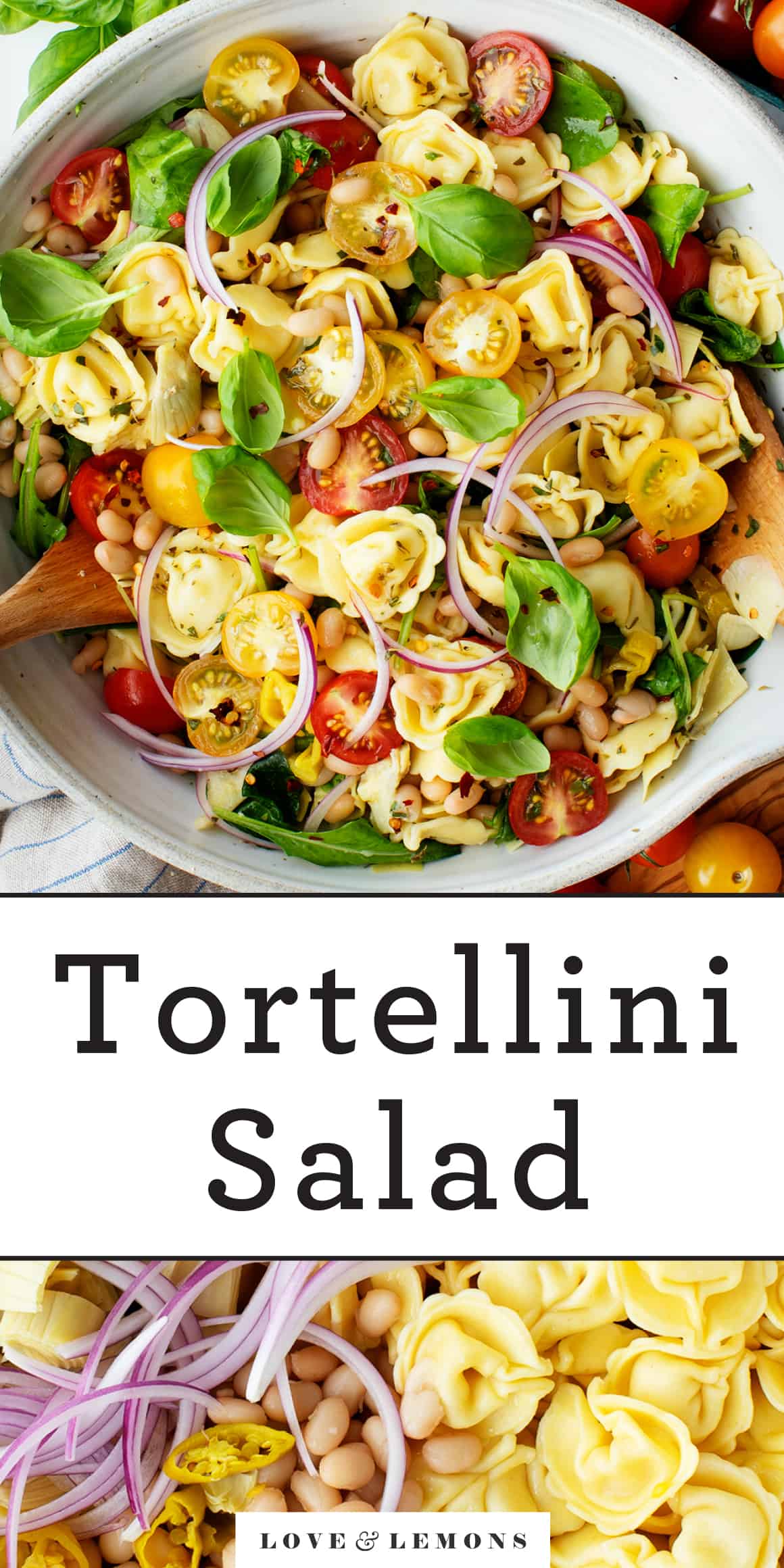Tortellini Salad Recipe Love and Lemons