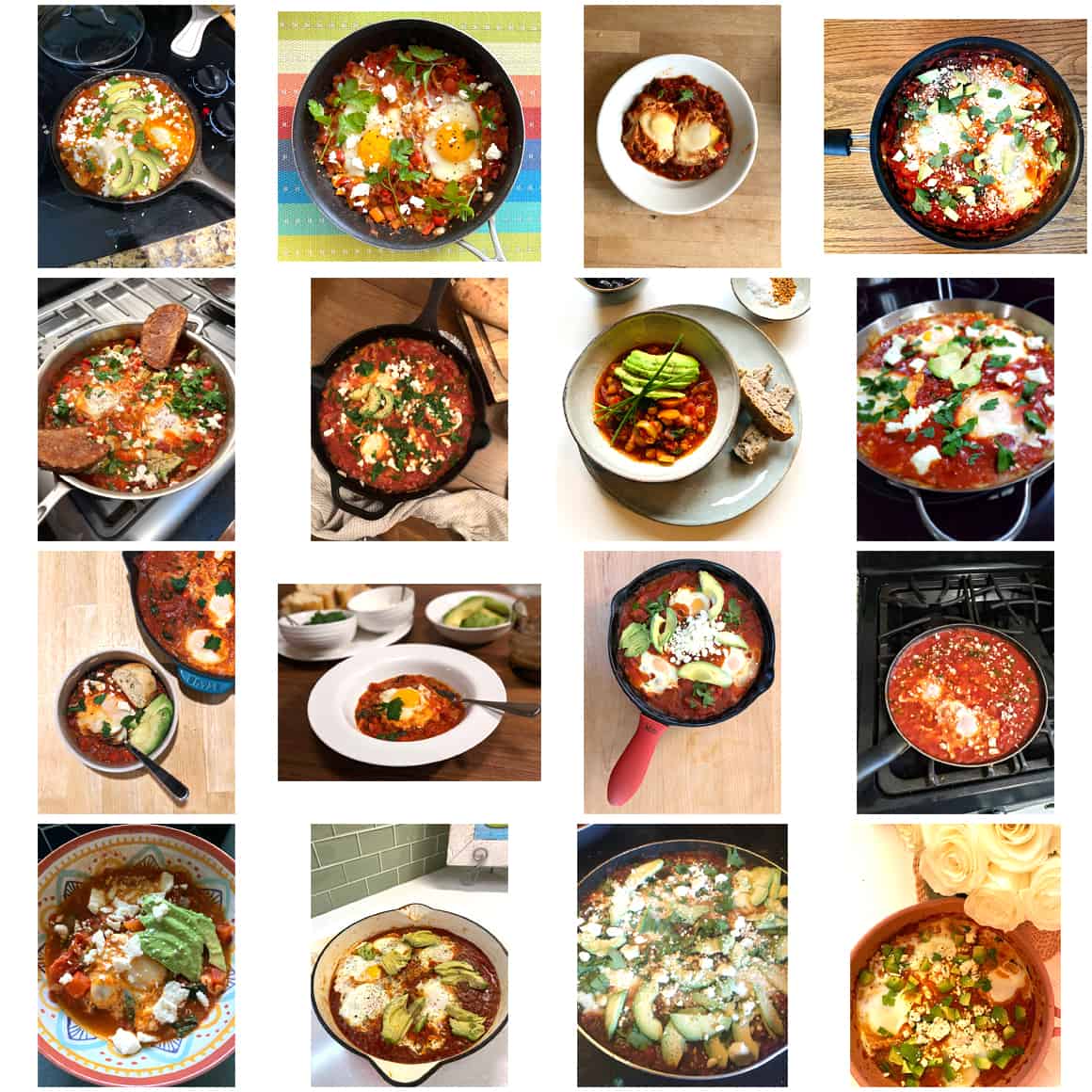 Photos of homemade shakshuka