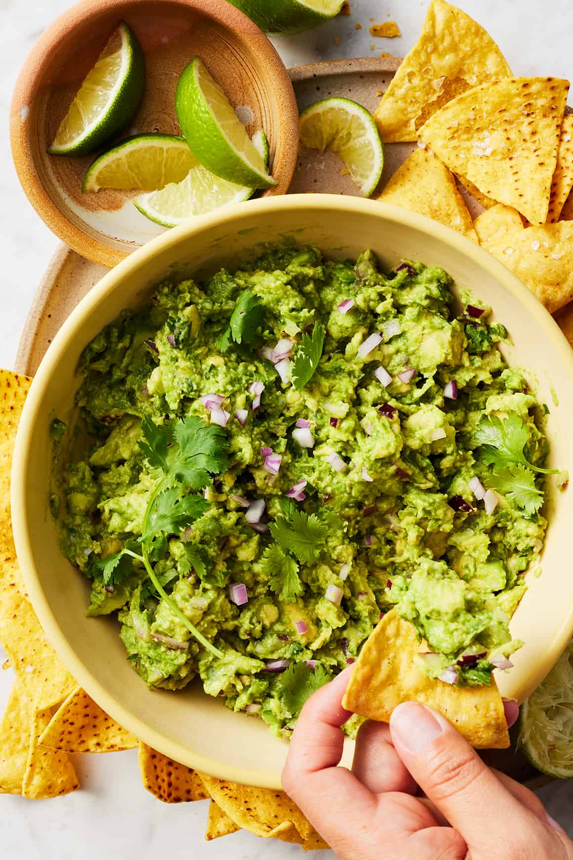 The BEST Fresh Homemade Guacamole