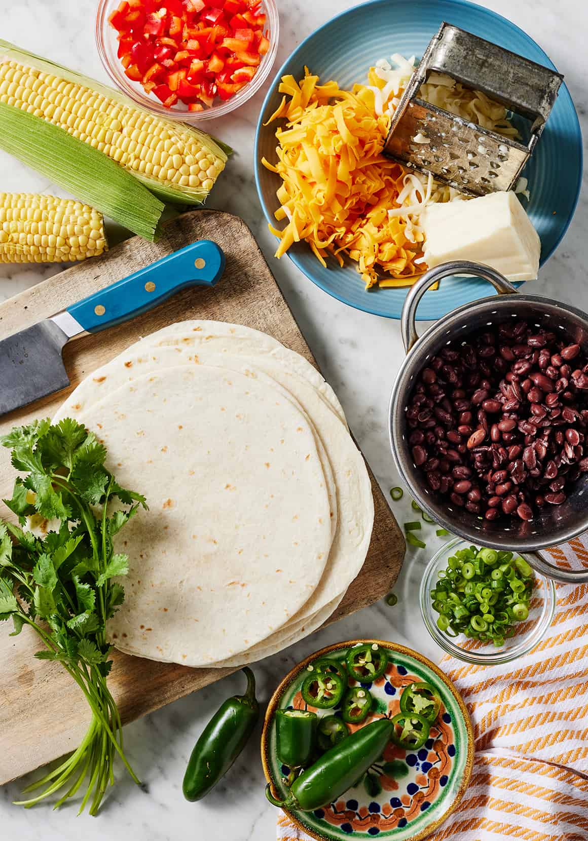 Quesadilla fillings