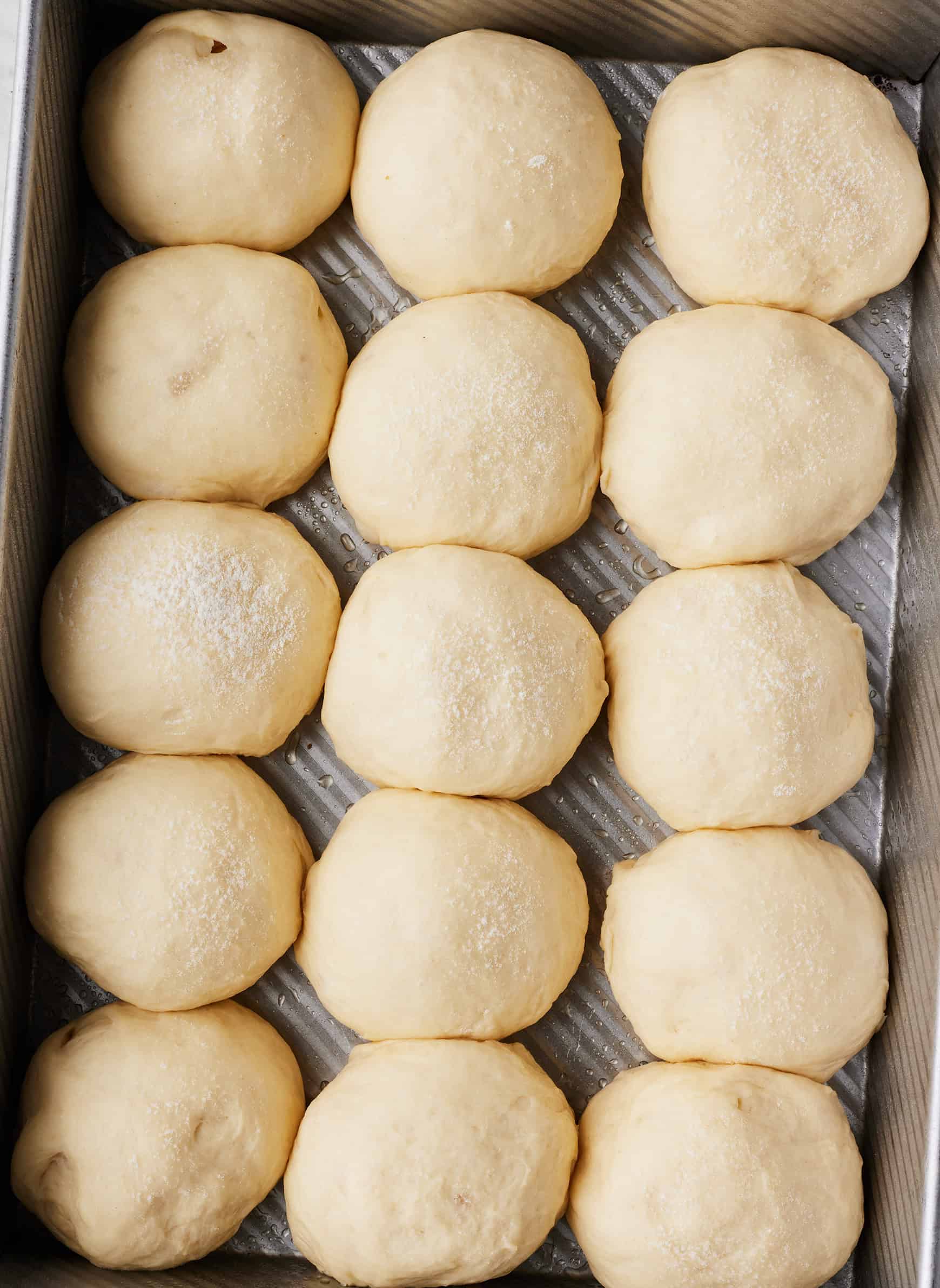 Homemade dinner rolls in baking dish