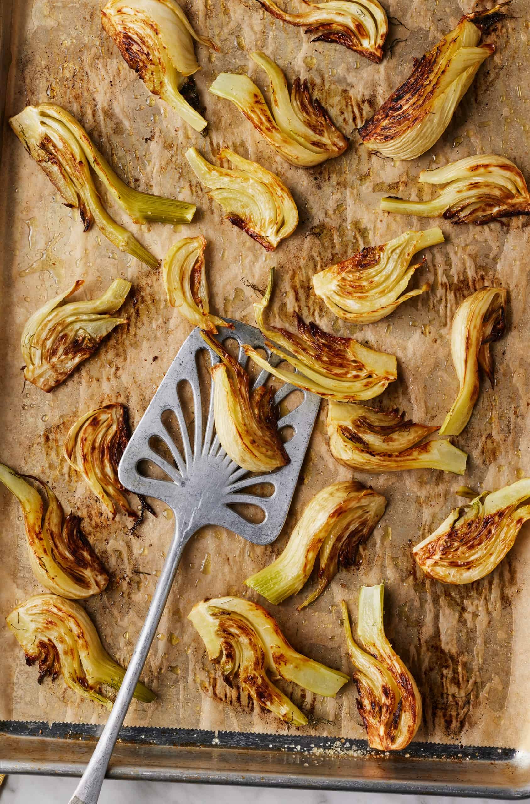 Roasted fennel on baking sheet