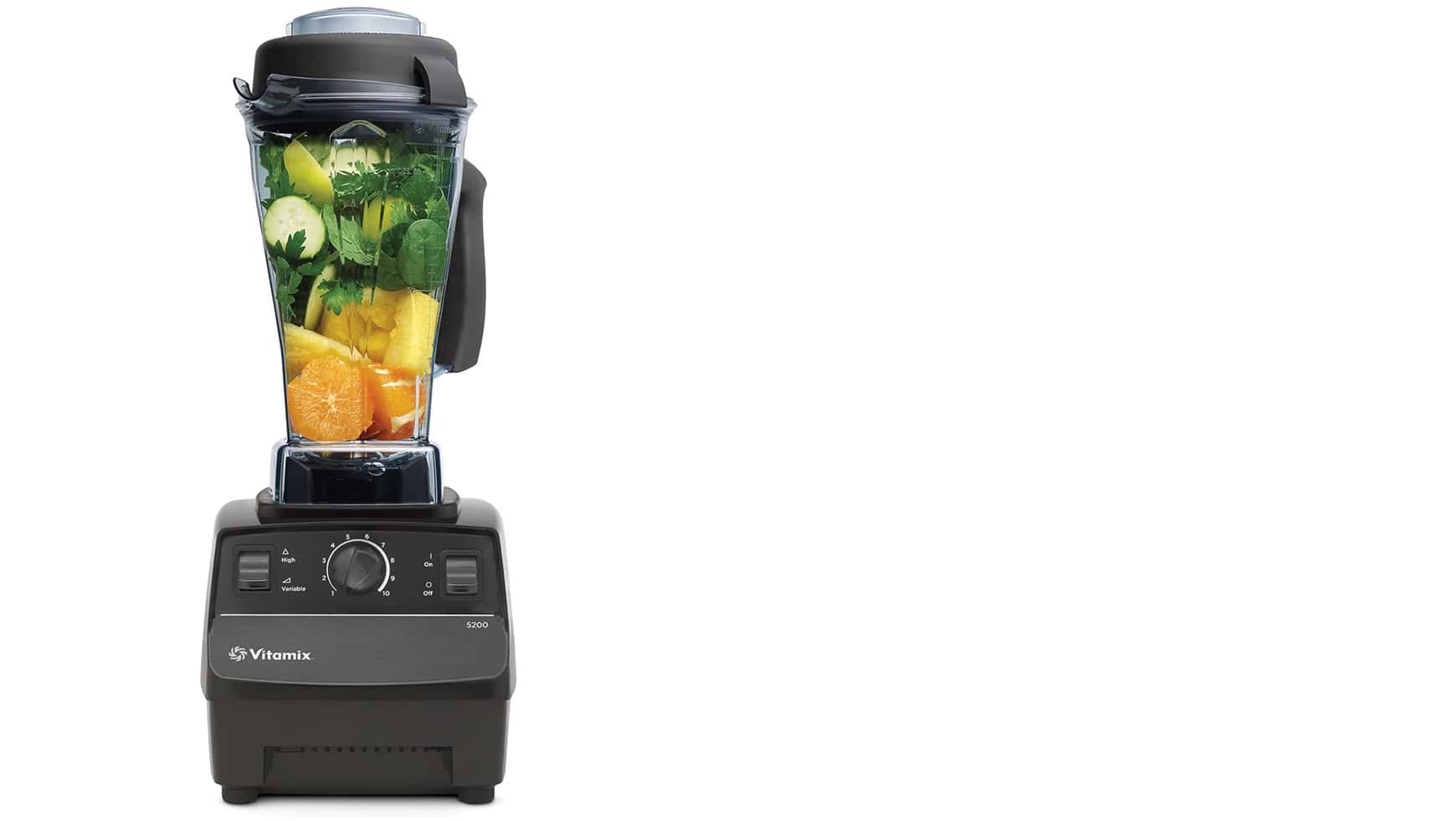 Vitamix V200 blender