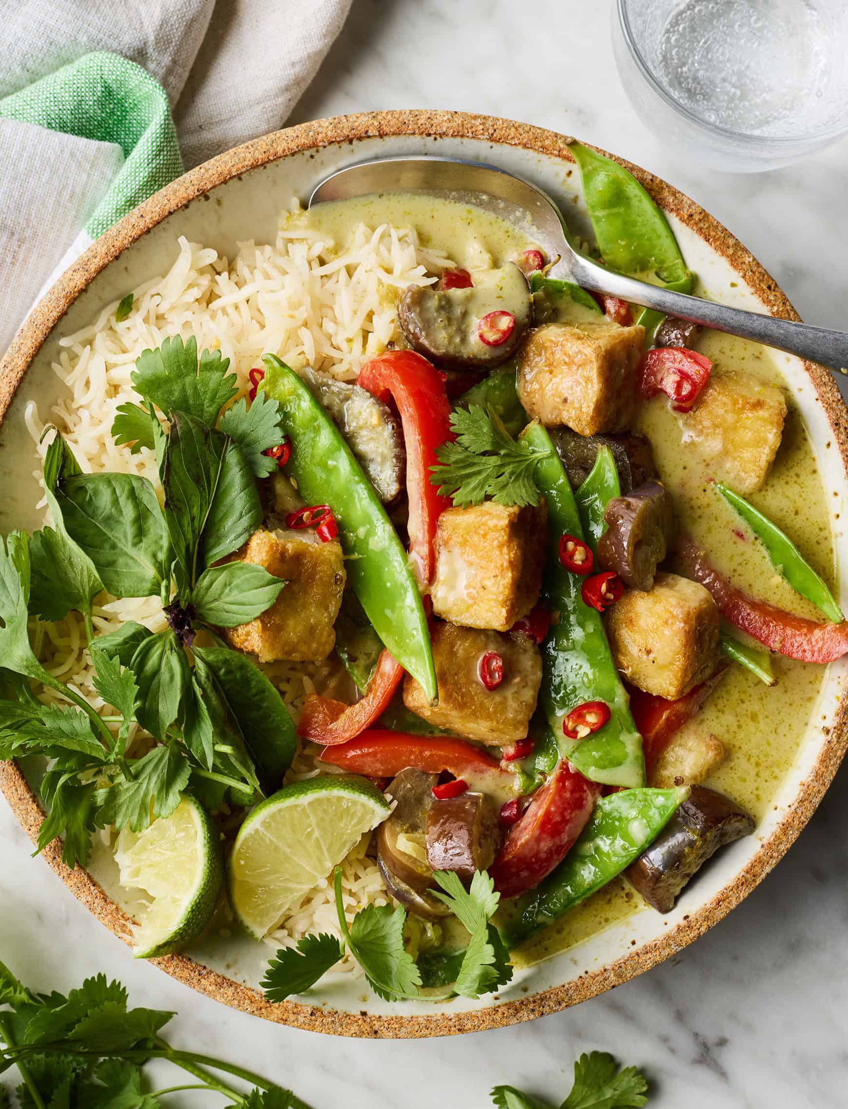Thai green curry recipe with rice