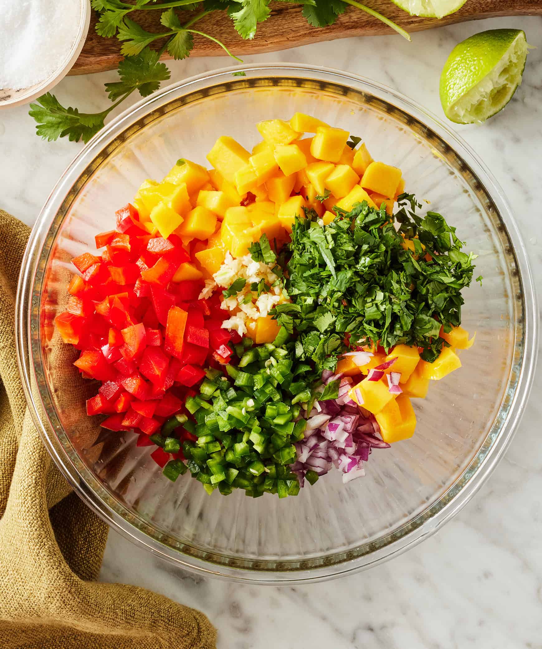 Fresh mango, red bell pepper, red onion, jalapeño, cilantro, and garlic segmented in mixing bowl